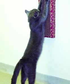 Euro Joe Cat Dancer Wall Scratcher