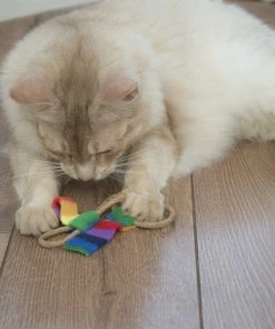 Euro Joe Cat Dancer Chaser 6-Pack