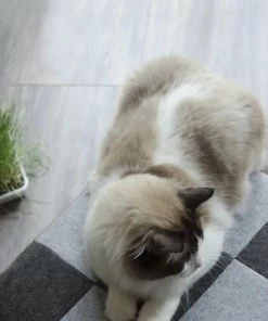 Euro Joe Let's Sleep Pet Cube Licht/donker Grijs