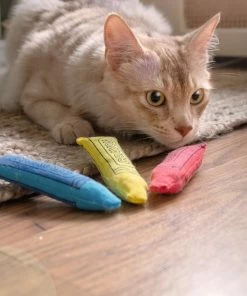 Euro Joe Yeowww!-ola Crayon 3-pk