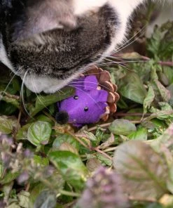 Euro Joe Forest Friends Mouse Purple