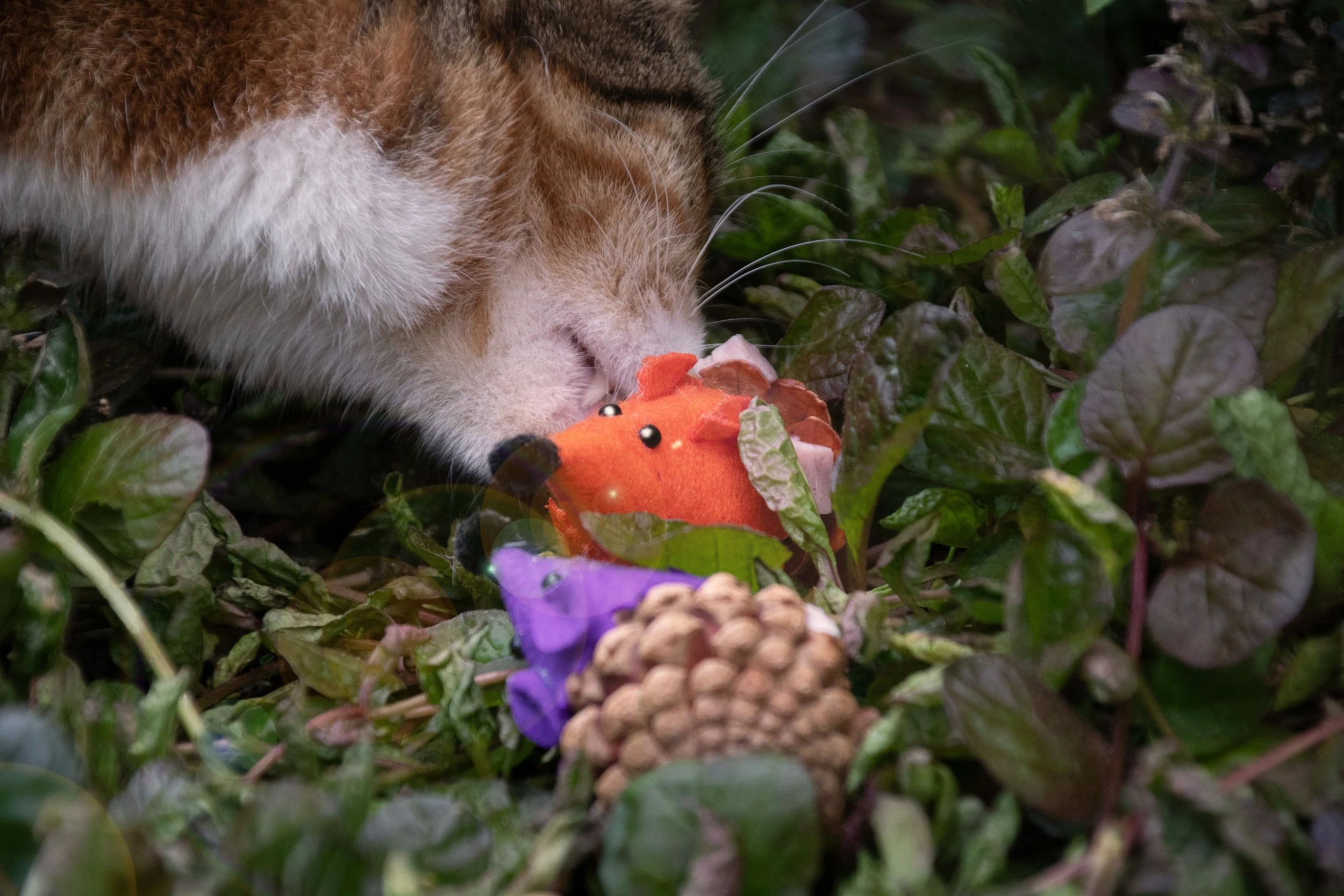 Euro Joe Forest Friends Mouse Orange - Image 2