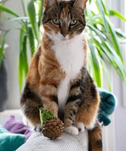 Euro Joe Forest Friends Mouse Green