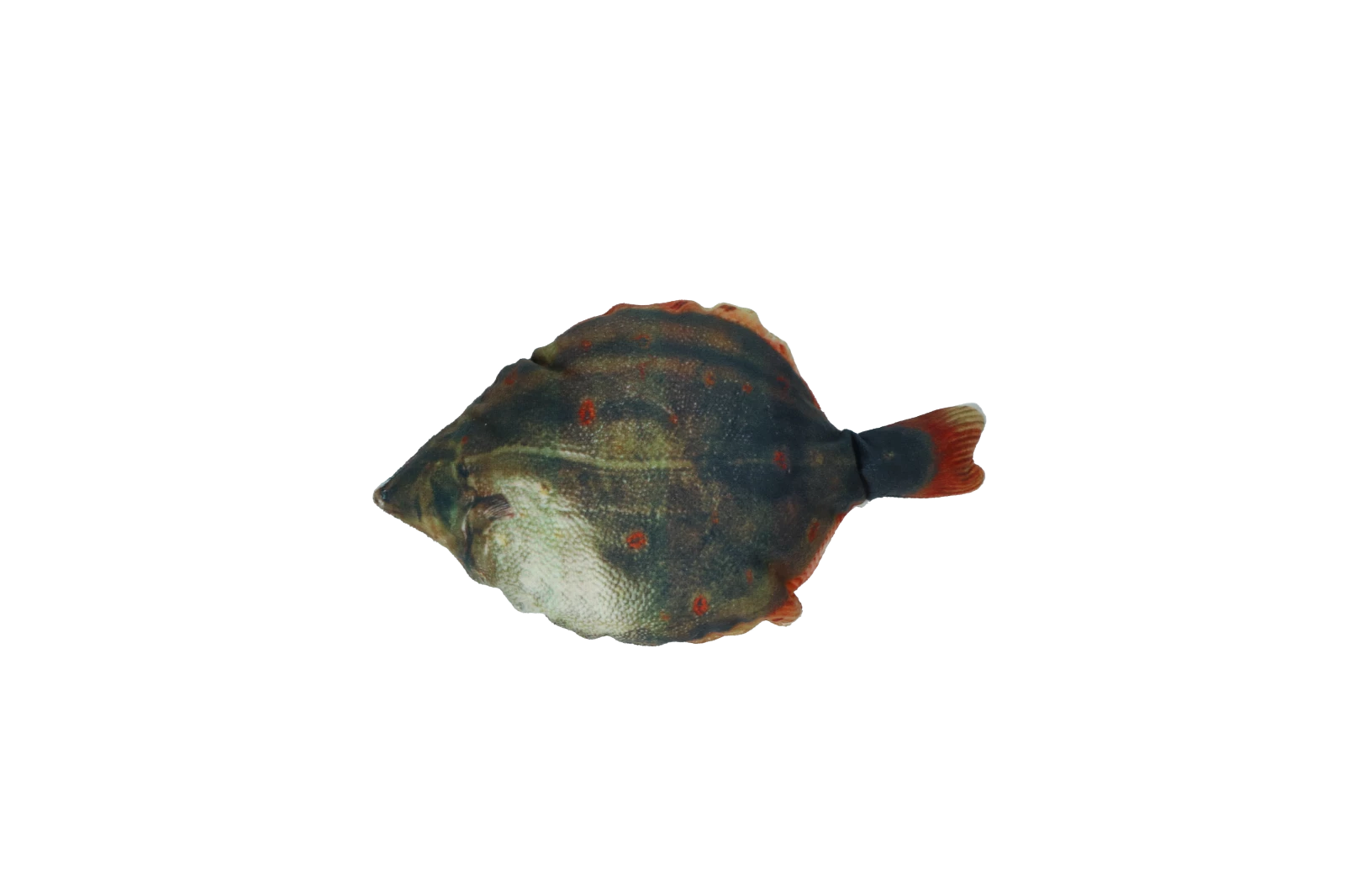 Euro Joe Totally Hooked Plaice S 20cm - Image 2