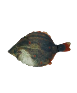 Euro Joe Totally Hooked Plaice S 20cm