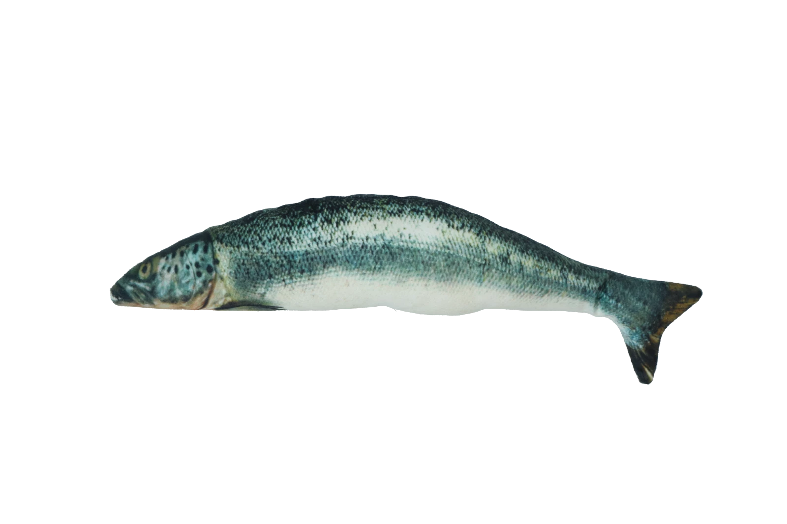 Euro Joe Totally Hooked Salmon S 20cm - Image 2