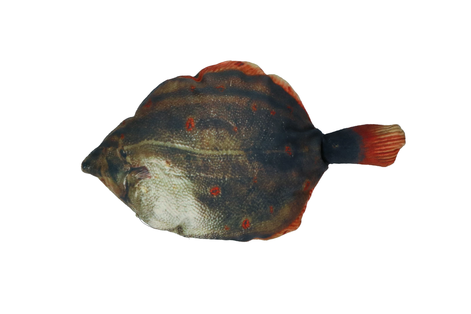 Euro Joe Totally Hooked Plaice S 20cm - Image 3