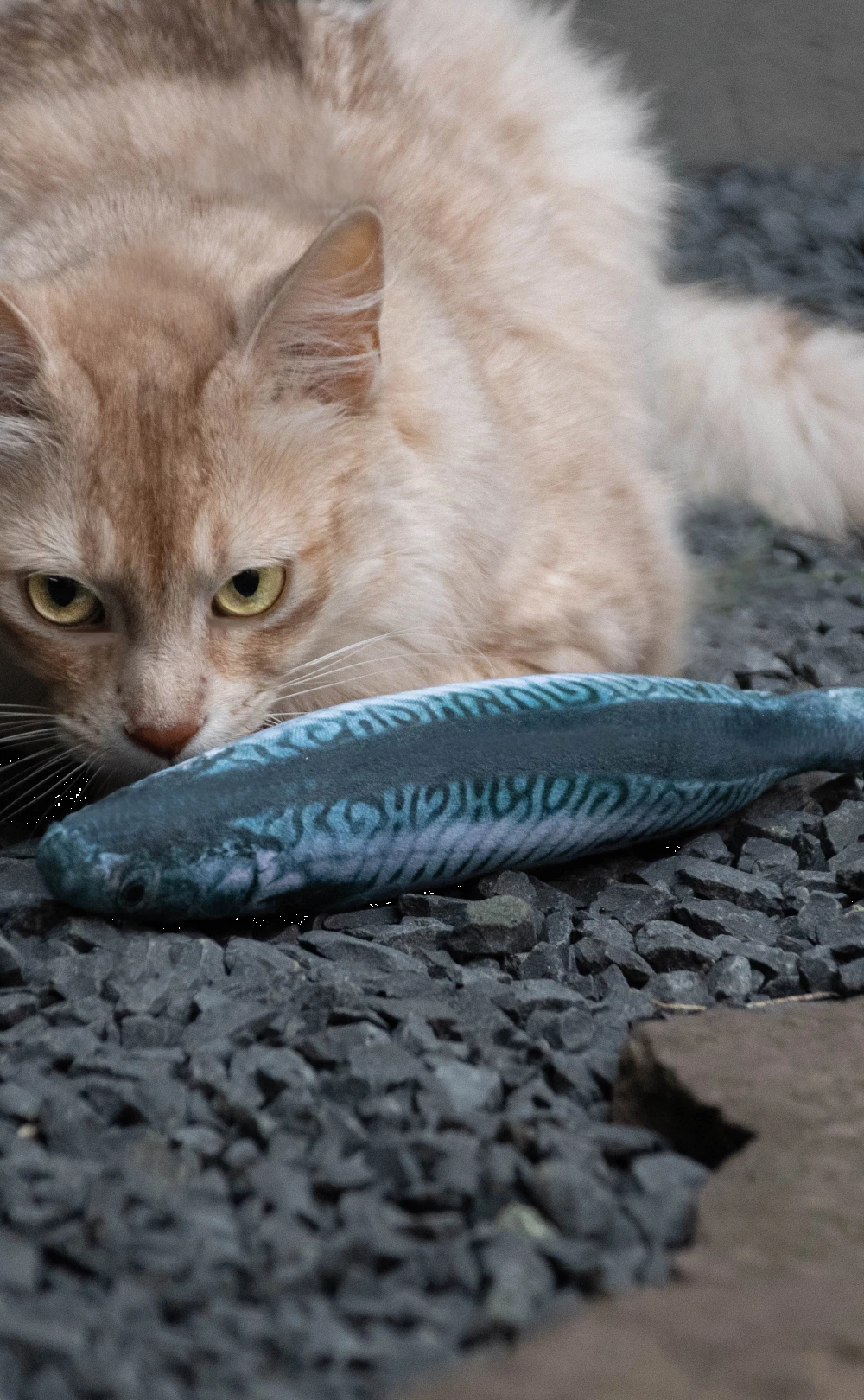 Euro Joe Totally Hooked Cod S 16cm - Image 3