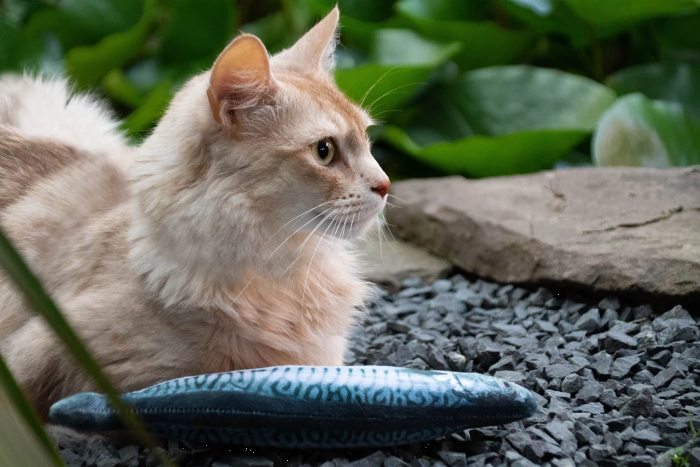 Euro Joe Totally Hooked Bass S 20cm - Image 4