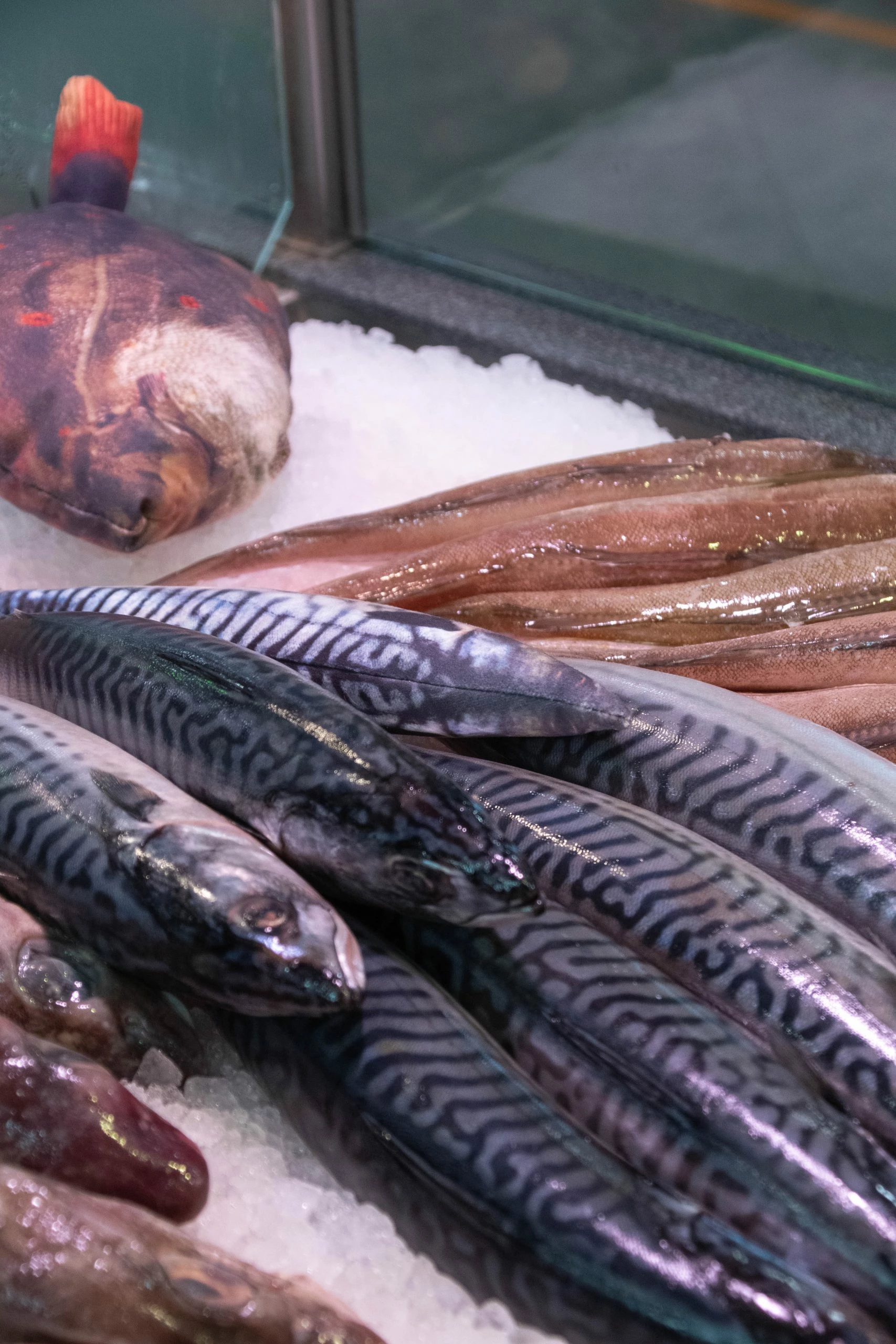 Euro Joe Totally Hooked Salmon S 20cm - Image 3