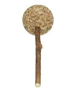 Euro Joe Addicted Lollipop