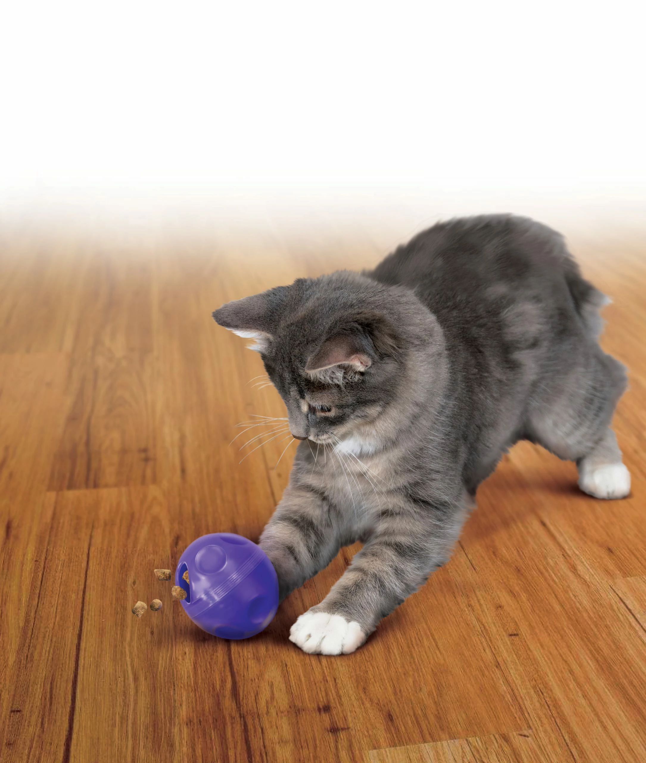 Euro Joe KONG Cat Treat Ball - Image 3