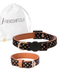 Euro Joe Dotty Moggy Cat & You