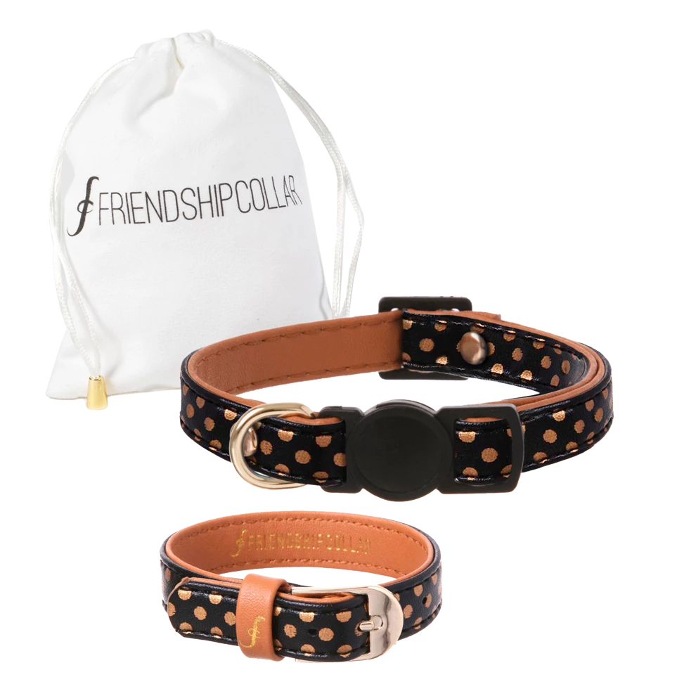 Euro Joe Dotty Moggy Cat & You