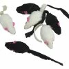Euro Joe Mischief Mice 6 Pack