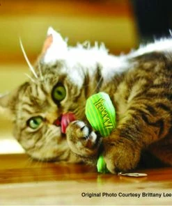 Euro Joe Yeowww Tin Of Stinkies (3 Inside)