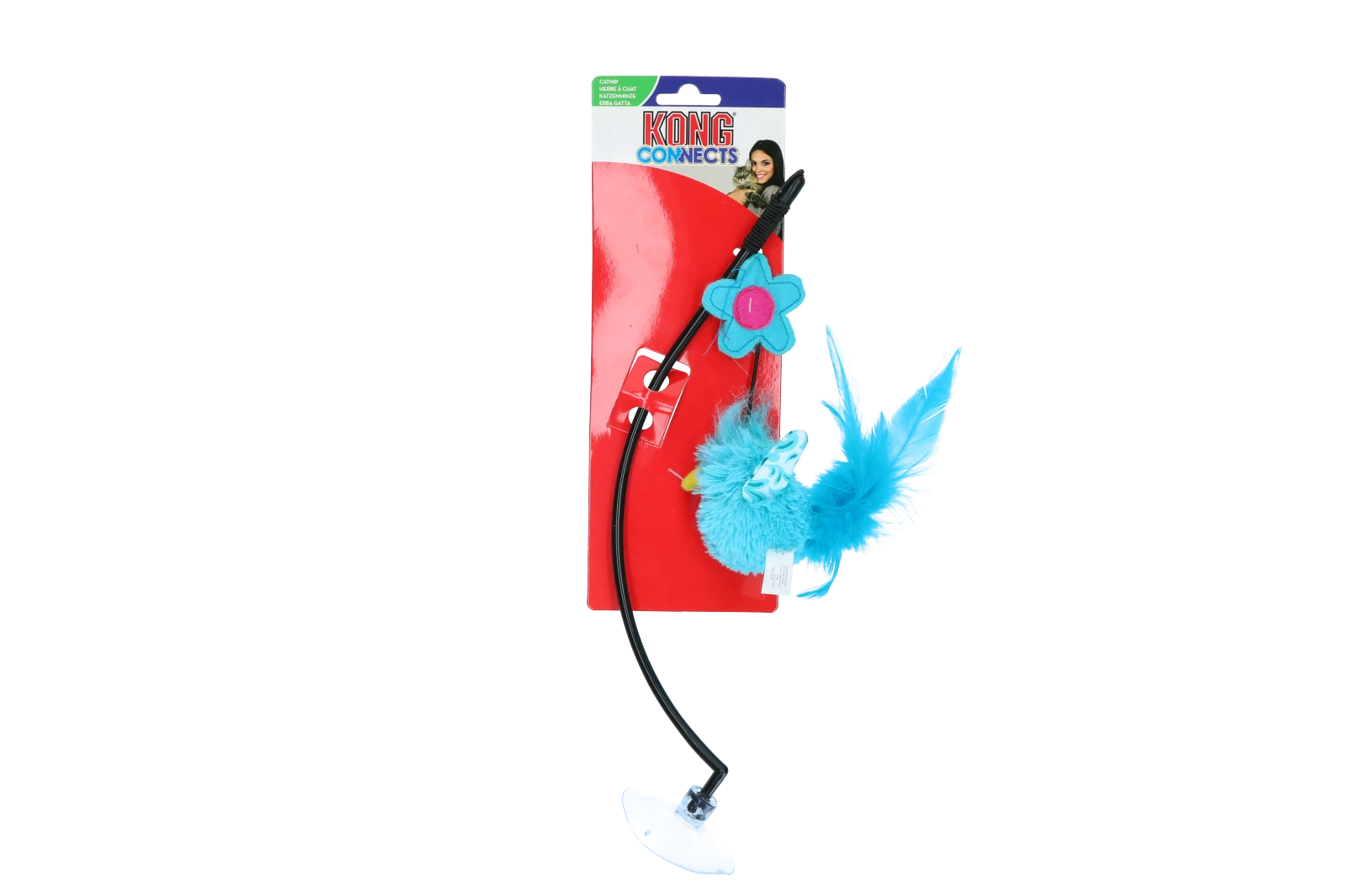 Euro Joe KONG Connects Window Teaser Assorted EU - Image 5