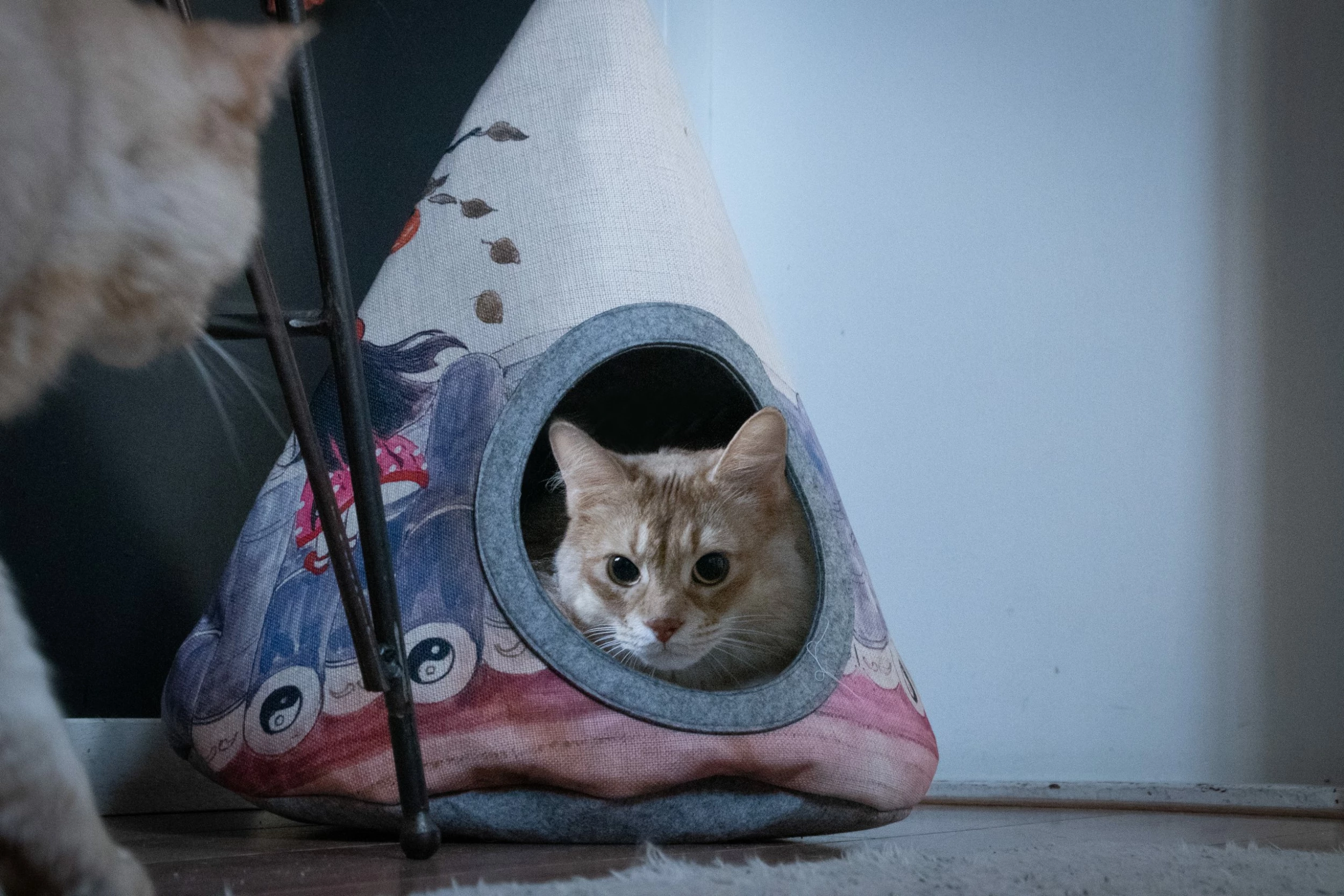 Euro Joe Takara Yin Yang Tipi - Image 2