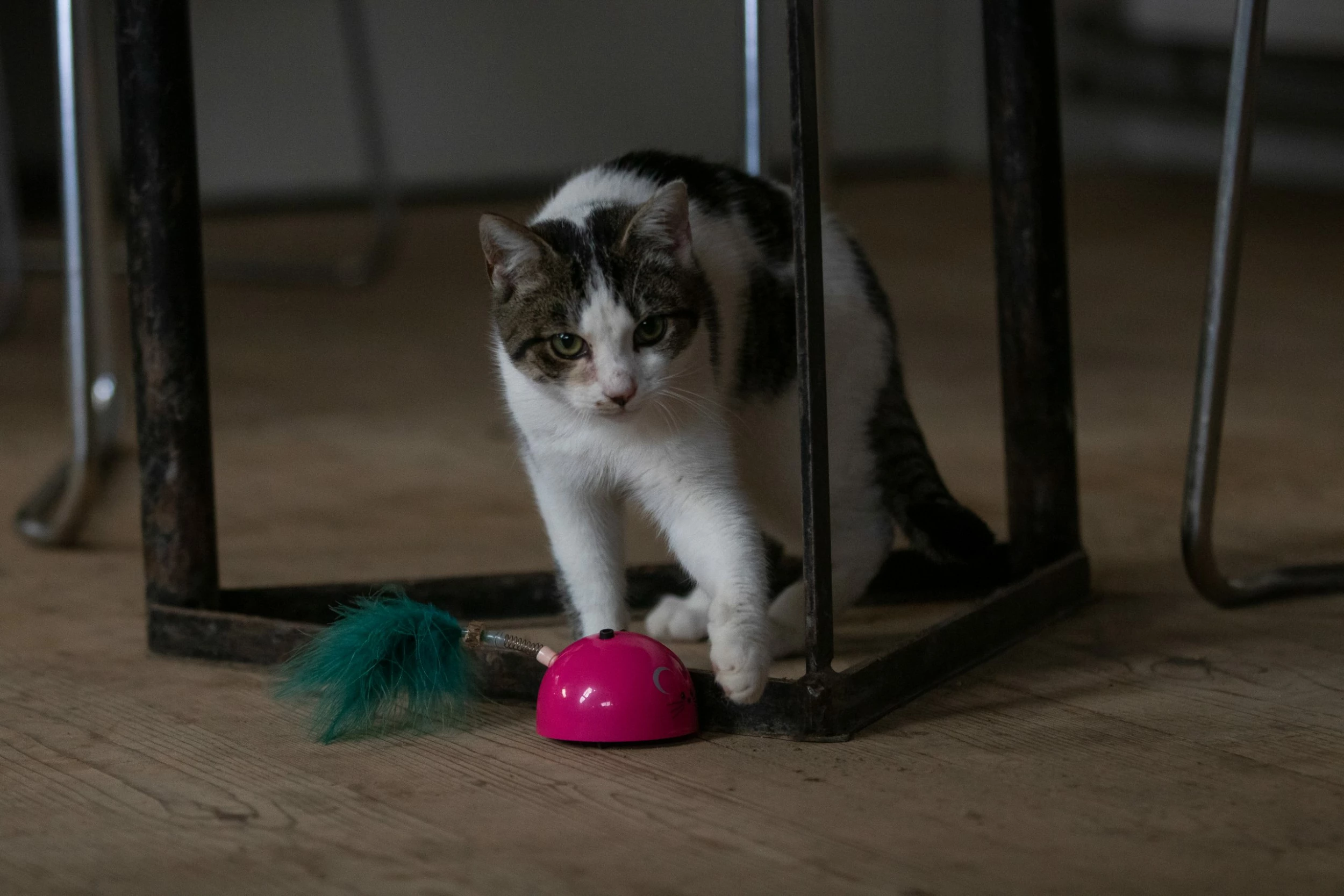 Euro Joe Robocat Grey Mouse - Image 2