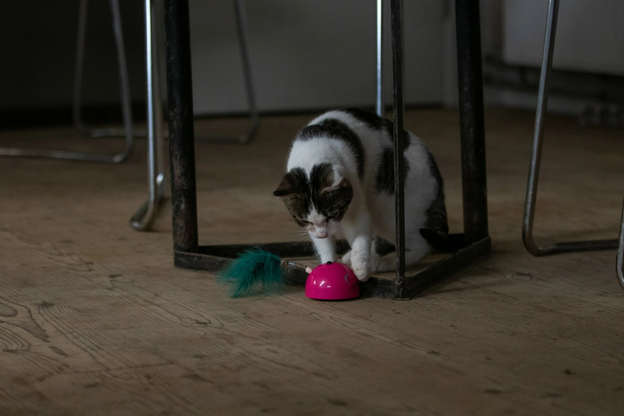 Euro Joe Robocat Grey Mouse - Image 3