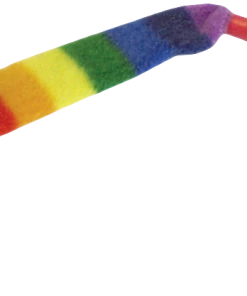 Euro Joe Cat Dancer Regenboog Cat Charmer