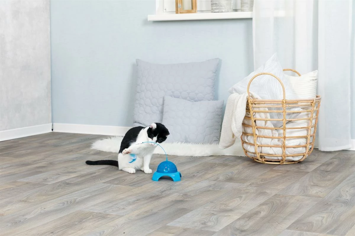 Euro Joe Catch Me With Motor And Remote Control - Image 2