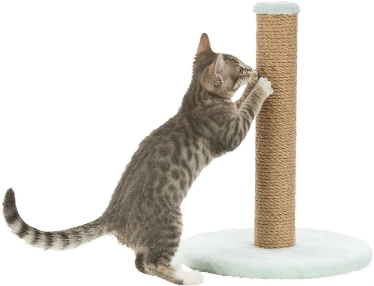 Euro Joe Junior Scratching Post On Plate - Image 5