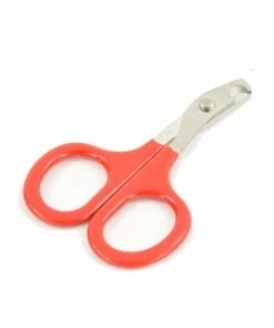 Euro Joe Kattenschaar RB